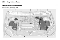 Страница 234