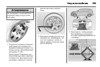Страница 263