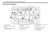 Страница 204