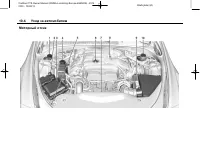 Страница 238