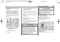 Страница 243