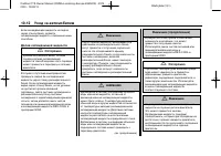 Страница 246