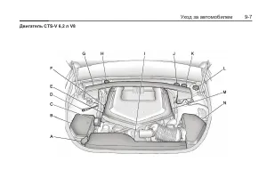 Страница 259