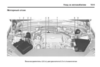 Страница 309