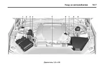 Страница 311