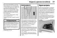 Страница 217
