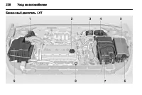 Страница 228