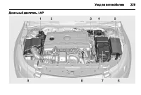 Страница 229