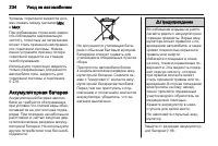 Страница 234