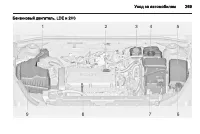 Страница 271