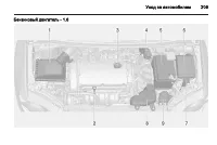 Страница 209