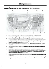 Страница 173