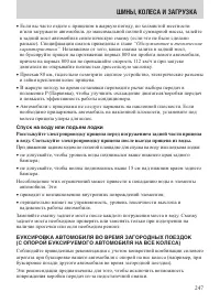 Страница 247