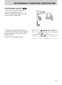 Страница 317