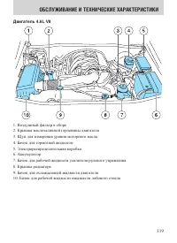 Страница 319