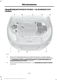 Страница 237