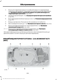 Страница 238