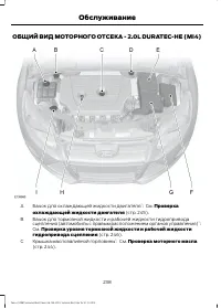 Страница 240