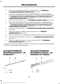 Страница 244