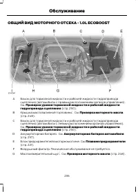 Страница 238