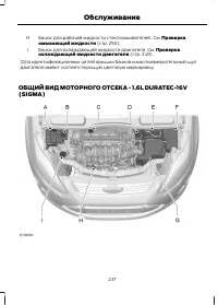 Страница 239