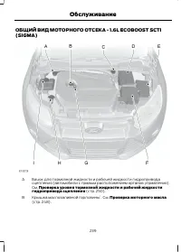 Страница 241