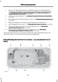 Страница 242