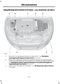 Страница 244