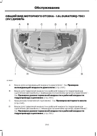 Страница 246