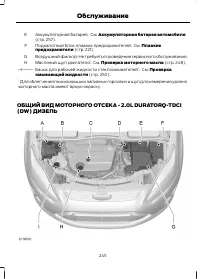 Страница 247