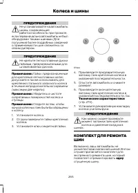 Страница 267