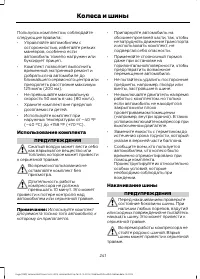 Страница 243