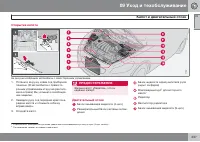 Страница 239