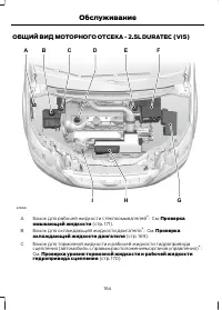 Страница 166