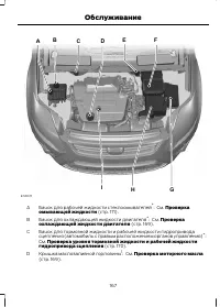 Страница 169