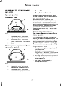 Страница 249