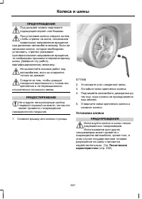 Страница 243