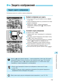 Страница 119