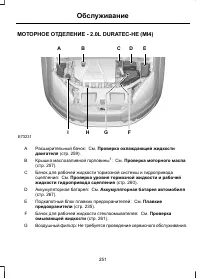 Страница 253