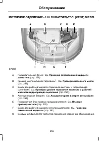 Страница 257