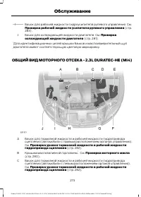 Страница 275