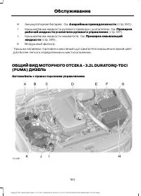 Страница 185