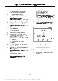 Страница 243
