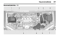 Страница 207