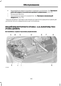 Страница 167