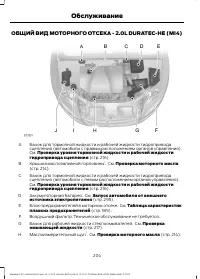 Страница 206