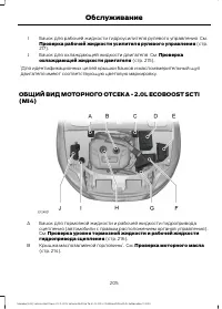 Страница 207