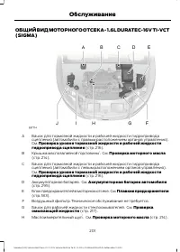 Страница 203