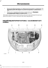 Страница 204