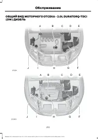 Страница 212